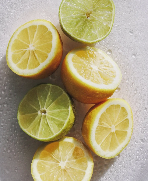 Aeolis Bergamot