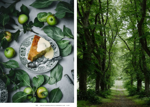 Nordic Summer Cookbook english