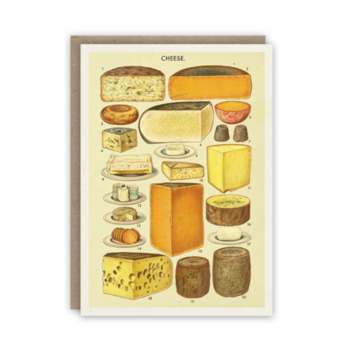 Kortti Cheese