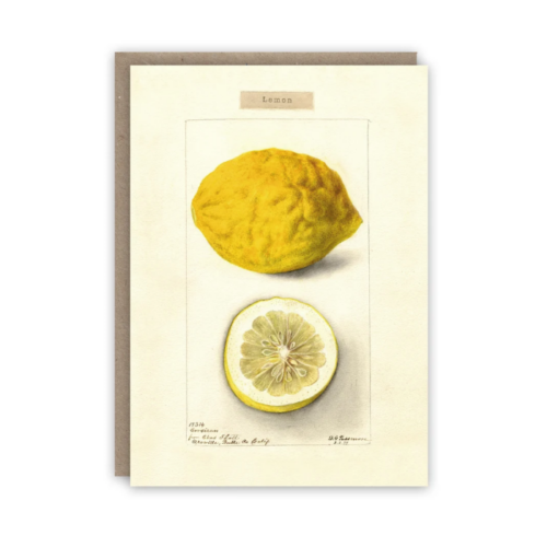 Kortti Lemon